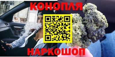 гидра Волгодонск