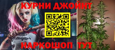 гидра Волгодонск