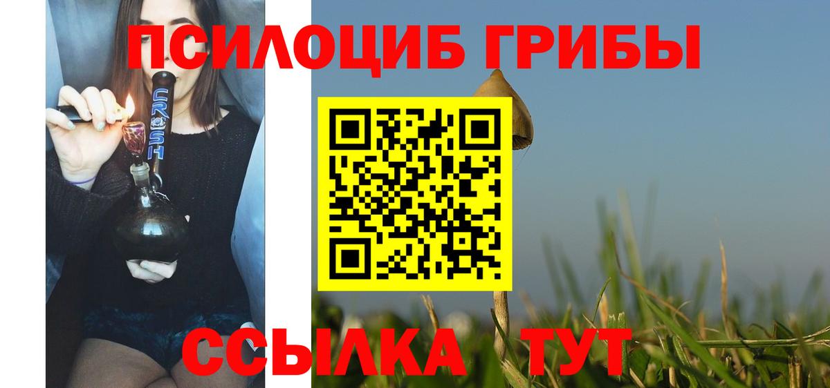 Псилоцибиновые грибы Cubensis  Вход с VPN  Долгопрудный 