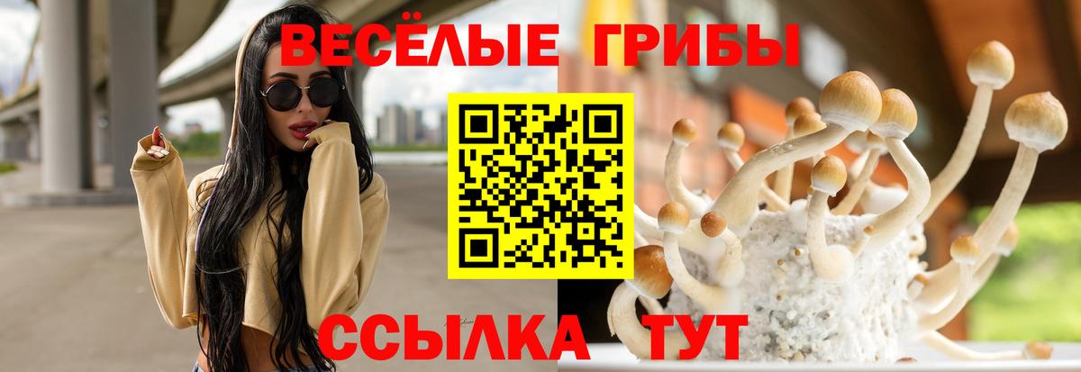 Галлюциногенные грибы GOLDEN TEACHER Долгопрудный